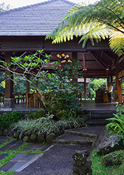 Cafe Bar Bistro Breza Slasticarnica Ernestinovo